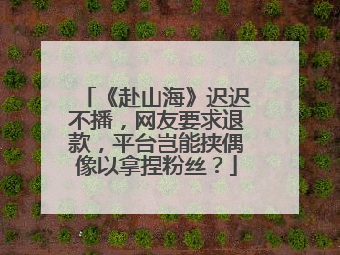 《赴山海》迟迟不播，网友要求退款，平台岂能挟偶像以拿捏粉丝？