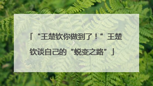 “王楚钦你做到了！”王楚钦谈自己的“蜕变之路”