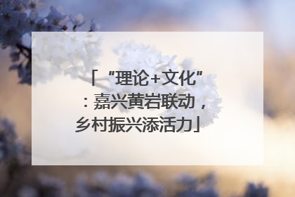 “理论+文化”：嘉兴黄岩联动，乡村振兴添活力