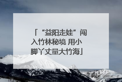 “益阳走娃”闯入竹林秘境 用小脚丫丈量大竹海