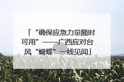 “确保应急力量随时可用”——广西应对台风“蝴蝶”一线见闻