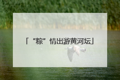 “粽”情出游黄河坛