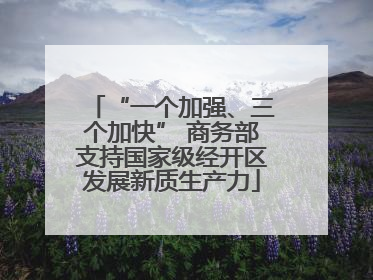 “一个加强、三个加快” 商务部支持国家级经开区发展新质生产力