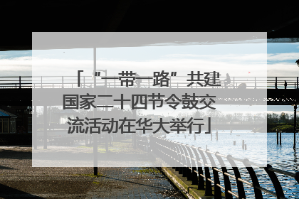 “一带一路”共建国家二十四节令鼓交流活动在华大举行