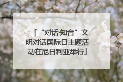 “对话·知音”文明对话国际日主题活动在尼日利亚举行