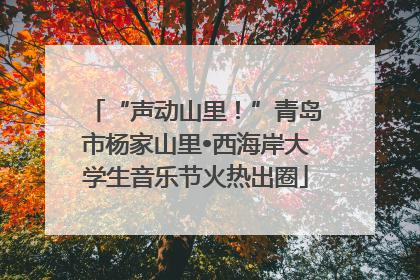 “声动山里！”青岛市杨家山里•西海岸大学生音乐节火热出圈
