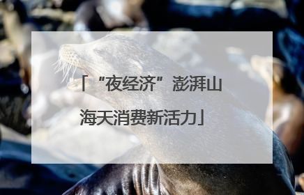 “夜经济”澎湃山海天消费新活力