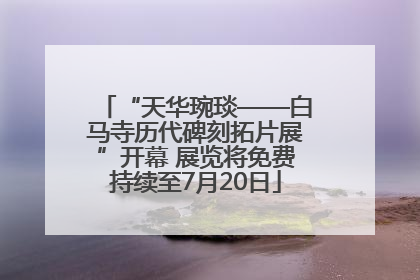 “天华琬琰——白马寺历代碑刻拓片展”开幕 展览将免费持续至7月20日