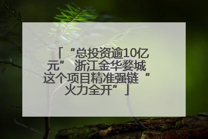 “总投资逾10亿元” 浙江金华婺城这个项目精准强链“火力全开”