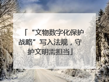 “文物数字化保护战略”写入法规，守护文明需担当