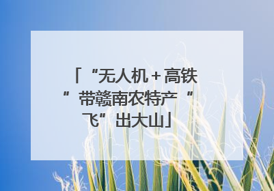 “无人机＋高铁”带赣南农特产“飞”出大山