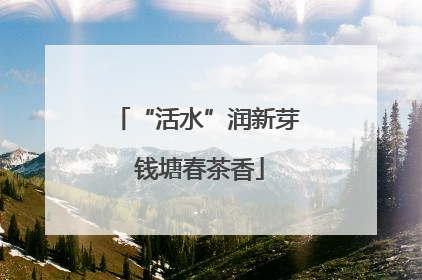 “活水”润新芽 钱塘春茶香