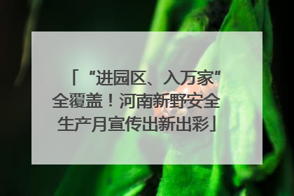 “进园区、入万家”全覆盖！河南新野安全生产月宣传出新出彩