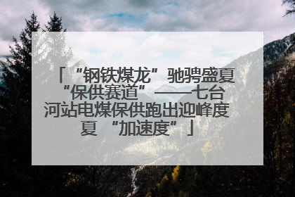 “钢铁煤龙”驰骋盛夏 “保供赛道”——七台河站电煤保供跑出迎峰度夏 “加速度”