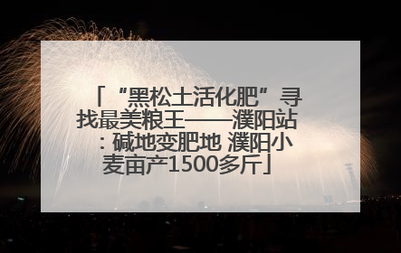 “黑松土活化肥”寻找最美粮王——濮阳站：碱地变肥地 濮阳小麦亩产1500多斤