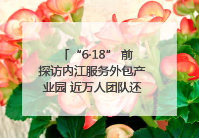 “6·18” 前探访内江服务外包产业园 近万人团队还在不断拓展｜内江东兴“红”在哪⑤