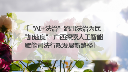 “AI+法治”跑出法治为民“加速度” 广西探索人工智能赋能司法行政发展新路径