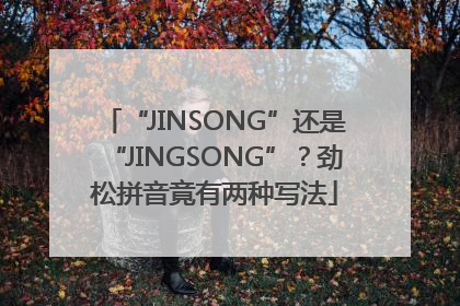 “JINSONG”还是“JINGSONG”？劲松拼音竟有两种写法