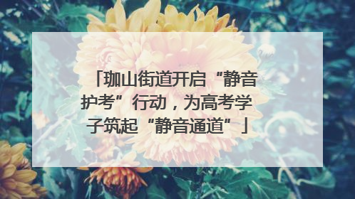 珈山街道开启“静音护考”行动，为高考学子筑起“静音通道”