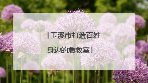 玉溪市打造百姓身边的急救室