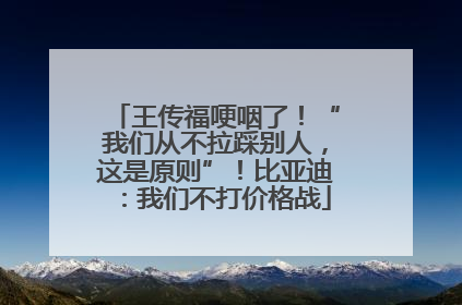 王传福哽咽了！“我们从不拉踩别人，这是原则”！比亚迪：我们不打价格战