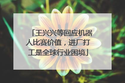 王兴兴等回应机器人比赛价值，进厂打工是全球行业困境