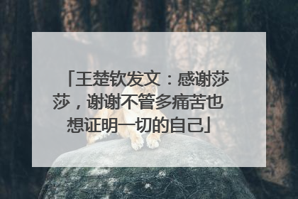 王楚钦发文：感谢莎莎，谢谢不管多痛苦也想证明一切的自己