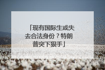 现有国际生或失去合法身份？特朗普突下狠手