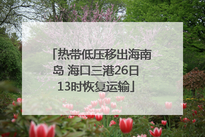 热带低压移出海南岛 海口三港26日13时恢复运输