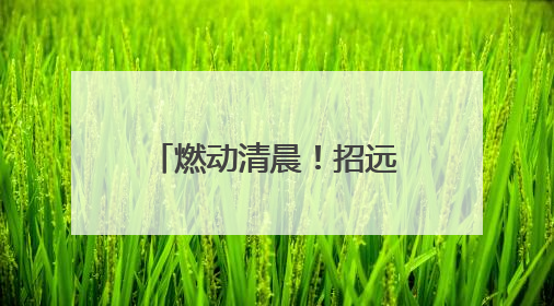 燃动清晨！招远市疾控中心携手市马拉松协会共同书写“无烟宣言”
