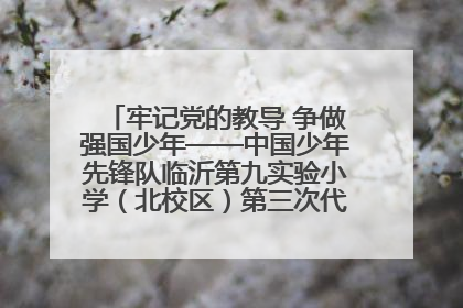 牢记党的教导 争做强国少年——中国少年先锋队临沂第九实验小学（北校区）第三次代表大会胜利召开