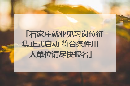 石家庄就业见习岗位征集正式启动 符合条件用人单位请尽快报名