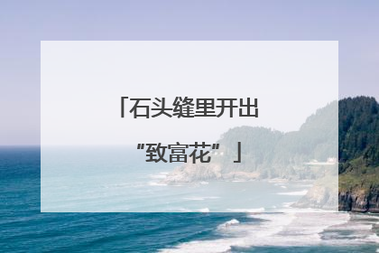石头缝里开出“致富花”