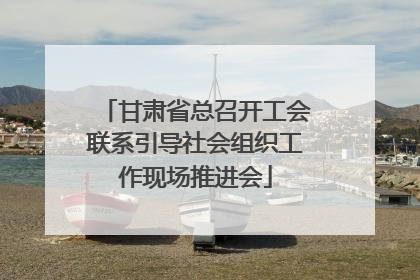 甘肃省总召开工会联系引导社会组织工作现场推进会
