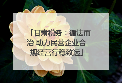 甘肃税务：循法而治 助力民营企业合规经营行稳致远