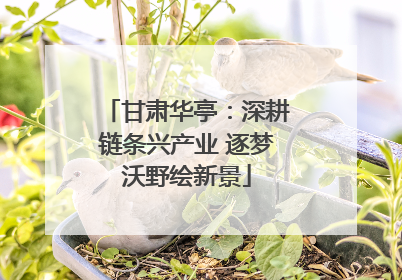 甘肃华亭：深耕链条兴产业 逐梦沃野绘新景