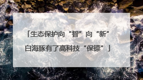 生态保护向“智”向“新” 白海豚有了高科技“保镖”