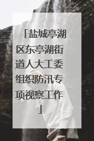 盐城亭湖区东亭湖街道人大工委组织防汛专项视察工作