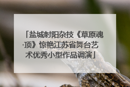 盐城射阳杂技《草原魂·顶》惊艳江苏省舞台艺术优秀小型作品调演
