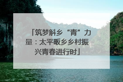 筑梦斛乡“青”力量：太平畈乡乡村振兴青春进行时