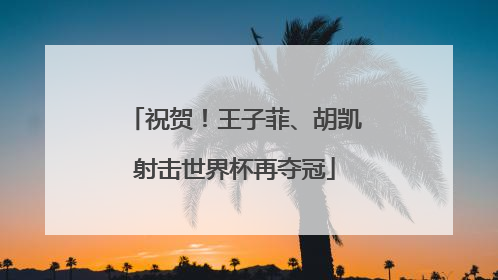 祝贺！王子菲、胡凯射击世界杯再夺冠