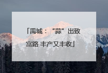 禹城：“蒜”出致富路 丰产又丰收