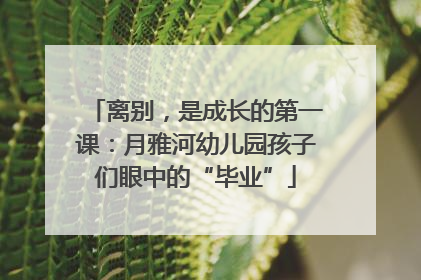 离别，是成长的第一课：月雅河幼儿园孩子们眼中的“毕业”