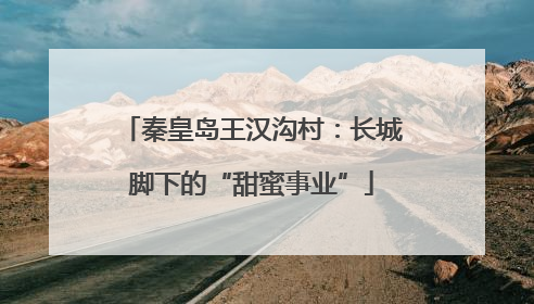 秦皇岛王汉沟村：长城脚下的“甜蜜事业”