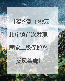 稀客到！密云北庄镇首次发现国家二级保护鸟类凤头鹰