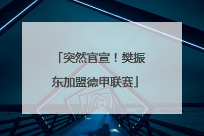 突然官宣！樊振东加盟德甲联赛