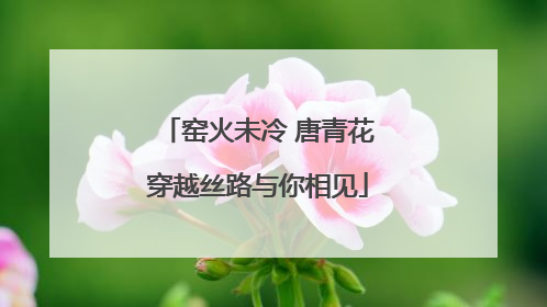 窑火未冷 唐青花穿越丝路与你相见