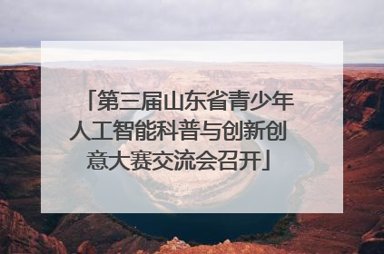 第三届山东省青少年人工智能科普与创新创意大赛交流会召开