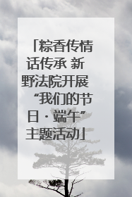 粽香传情话传承 新野法院开展“我们的节日・端午”主题活动