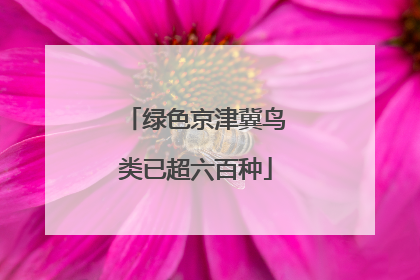 绿色京津冀鸟类已超六百种